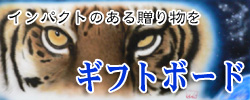 キフトボード